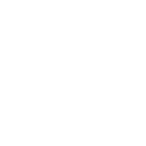 Storeteclogo-white-png-jan24-300x300-1