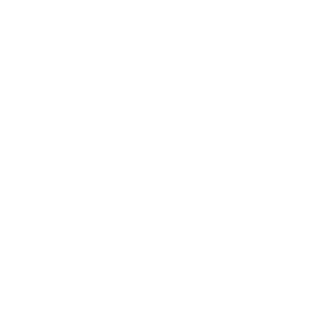 aurora-capital-white-300x300-1